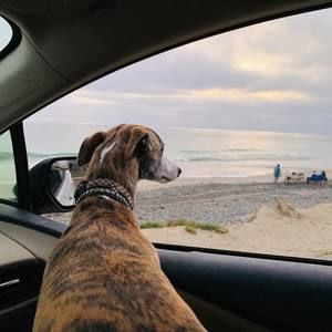 Meet your Posher, Sandra